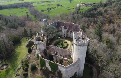 Kasteel te koop Veauce, Auvergne-Rhône-Alpes, Buitenaanzicht