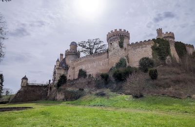 Kasteel te koop Veauce, Auvergne-Rhône-Alpes, Foto 3/9