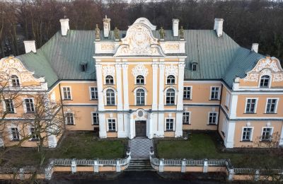 Kasteel te koop Czempiń, województwo wielkopolskie, Dronefoto