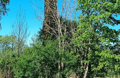 Landhuis te koop Gulbere, Vidzeme, Bijgebouw