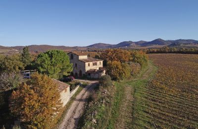 Plattelandswoning te koop Gaiole in Chianti, Toscane, RIF 3073 Anwesen und Zufahrt