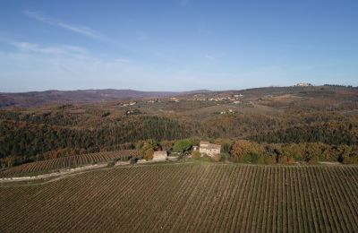 Plattelandswoning te koop Gaiole in Chianti, Toscane, RIF 3073 Umgebung