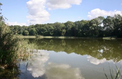 Landhuis te koop 18249 Lübzin, Mecklenburg-Vorpommern, Foto 9/12