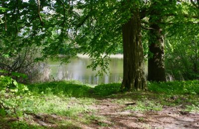 Landhuis te koop 18249 Lübzin, Mecklenburg-Vorpommern, Foto 7/12