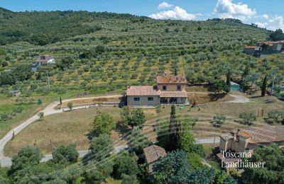 Plattelandswoning te koop Cortona, Toscane, RIF 3085 Weg zum Landhaus