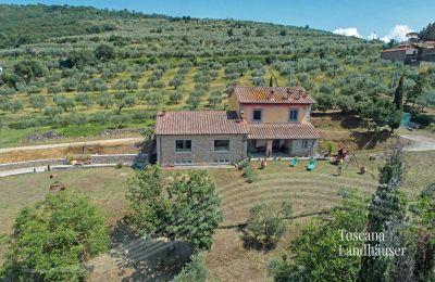 Plattelandswoning te koop Cortona, Toscane, RIF 3085 Garten vor Haus