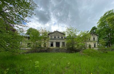 Kasteel te koop Stradzewo, Pałac w Stradzewie, województwo zachodniopomorskie, Foto 7/14