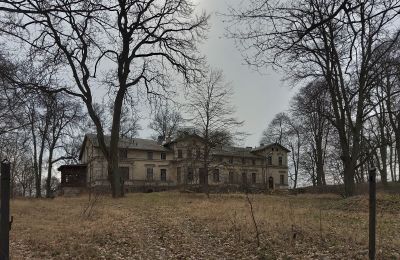 Kasteel te koop Stradzewo, Pałac w Stradzewie, województwo zachodniopomorskie, Park