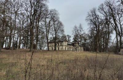 Kasteel te koop Stradzewo, Pałac w Stradzewie, województwo zachodniopomorskie, Park