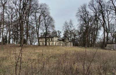 Kasteel te koop Stradzewo, Pałac w Stradzewie, województwo zachodniopomorskie, Foto 14/14