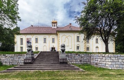 Kasteel te koop Szombathely, Graafschap Vas, Achteraanzicht