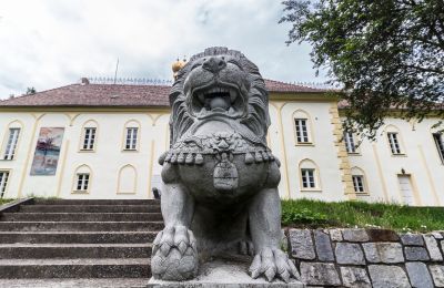 Kasteel te koop Szombathely, Graafschap Vas, Foto 3/21