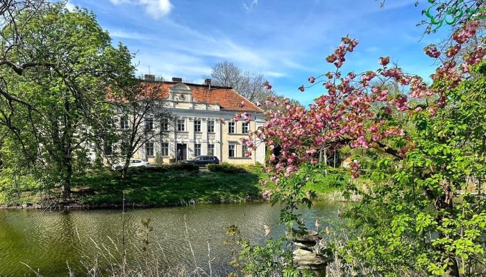 Kasteel te koop Gola, województwo wielkopolskie,  Polen