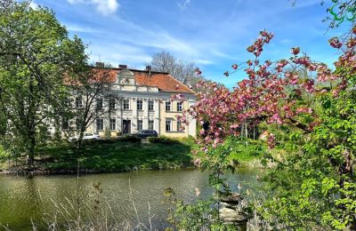 Vastgoed, Classicistisch landhuis in Gola bij Gostynin, Wielkopolska