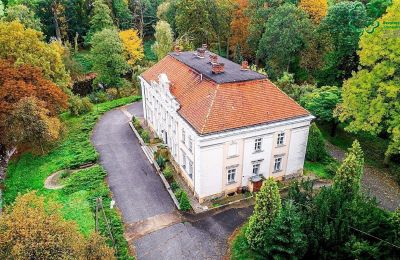 Kasteel te koop Gola, województwo wielkopolskie, Dronefoto