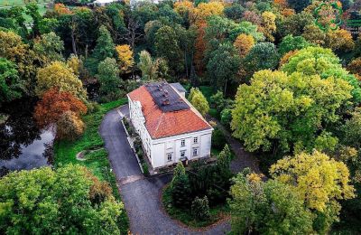 Kasteel te koop Gola, województwo wielkopolskie, Foto 4/27