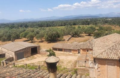 Landhuis te koop Sineu, Balearen, Foto 9/10