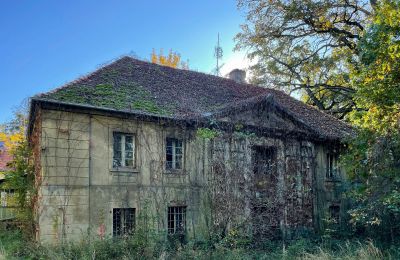 Kasteel te koop Skoraszewice, Skoraszewice  16, województwo wielkopolskie, Herenhuis/ Landhuis