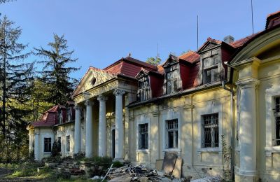 Kasteel te koop Skoraszewice, Skoraszewice  16, województwo wielkopolskie, Foto 7/8