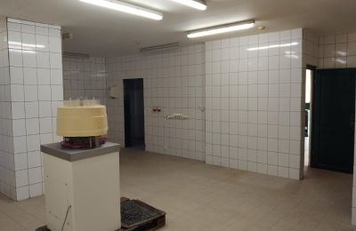 Landhuis te koop 04668 Grimma, Grimmaer Straße 7, Sachsen, Foto 28/42