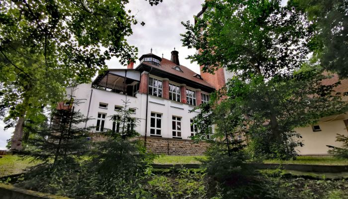 Historische villa Karlovy Vary 3