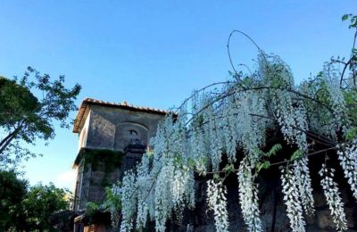 Historische villa te koop Lazio, Toren