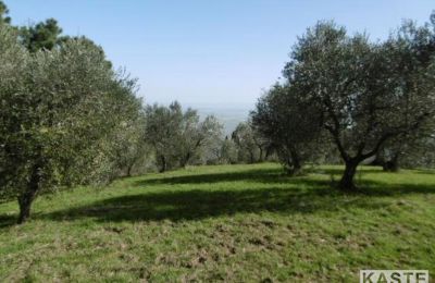 Plattelandswoning te koop Rivalto, Toscane, Foto 7/14