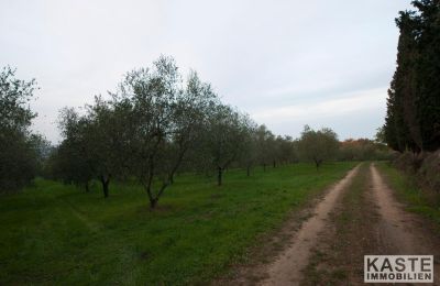 Klooster te koop Peccioli, Toscane, Foto 14/28