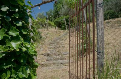 Boerderij te koop 06060 Lisciano Niccone, Umbria, Foto 22/28