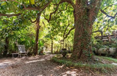 Historische villa te koop Verbano-Cusio-Ossola, Pallanza, Piemonte, Tuin