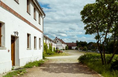 Kasteel te koop Samotwór, województwo dolnośląskie, Foto 19/23