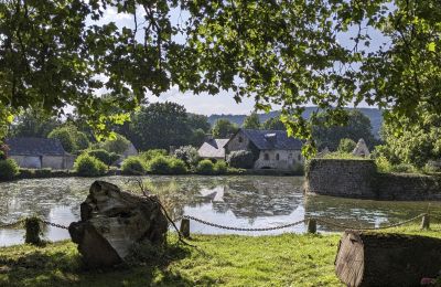 Kasteel te koop Le Mans, Pays de la Loire, Foto 10/10