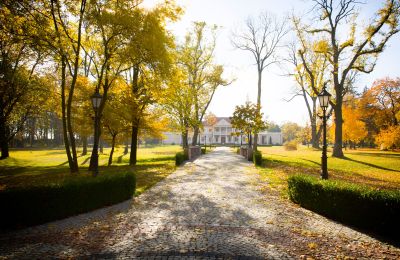 Landhuis te koop Zborów, Kownackiej 33, województwo wielkopolskie, Toegang