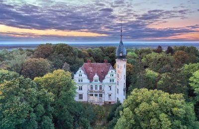 Kasteel te koop Kruszewo, Parkowa 4, województwo wielkopolskie, Buitenaanzicht