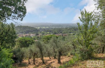 Plattelandswoning te koop Vicopisano, Toscane, Foto 12/12