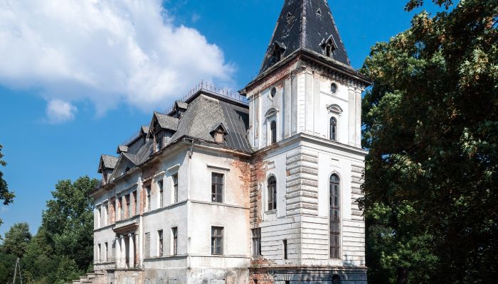 Kasteel te koop Budziwojów, województwo dolnośląskie,  Polen