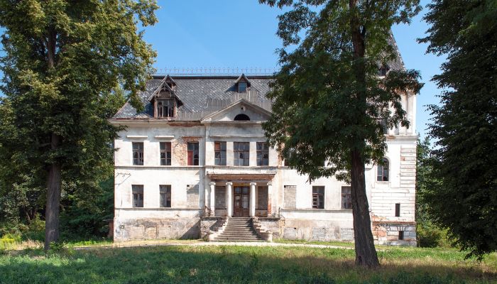 Kasteel Budziwojów 3