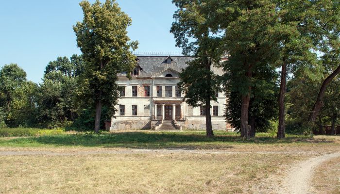 Kasteel Budziwojów 2