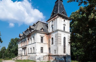 Kasteel te koop Budziwojów, Pałac w Budziwojowie, województwo dolnośląskie, Buitenaanzicht