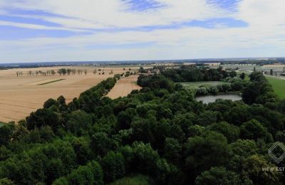 Kasteel te koop Budziwojów, Pałac w Budziwojowie, województwo dolnośląskie, Foto 5/17