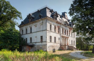 Kasteel te koop Budziwojów, Pałac w Budziwojowie, województwo dolnośląskie, Foto 16/17