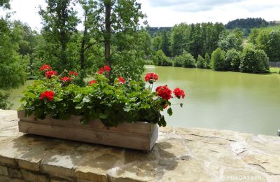 Kasteel te koop Rychnov nad Kněžnou, Královéhradecký kraj, Vijver/Meer