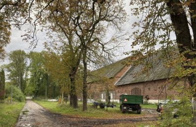 Kasteel te koop Cecenowo, Pałac w Cecenowie, województwo pomorskie, Foto 10/14