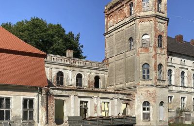 Kasteel te koop Cecenowo, Pałac w Cecenowie, województwo pomorskie, Toren