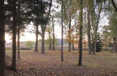 Landhuis te koop Broniszów, województwo lubuskie, Foto 17/20