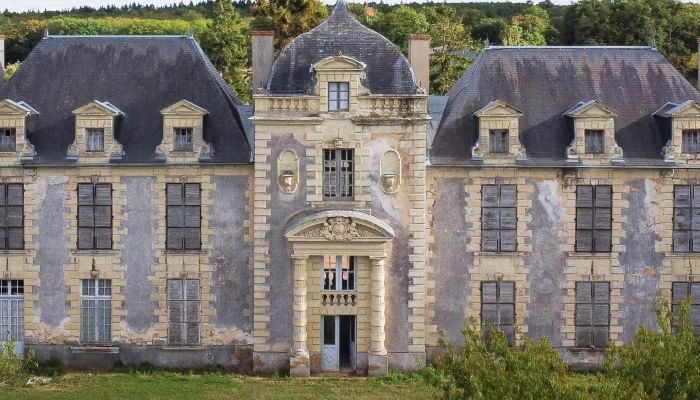 Kasteel te koop Loudun, Nouvelle-Aquitaine,  Frankrijk