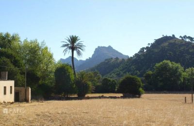 Landhuis te koop Mallorca, Serra de Tramuntana, Cala Sant Vicenç, Balearen, Foto 11/14