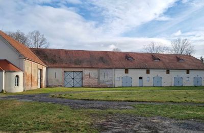 Kasteel te koop Brzeźnica, Bobrzańska 1, województwo lubuskie, Stodoły część Wschodnia