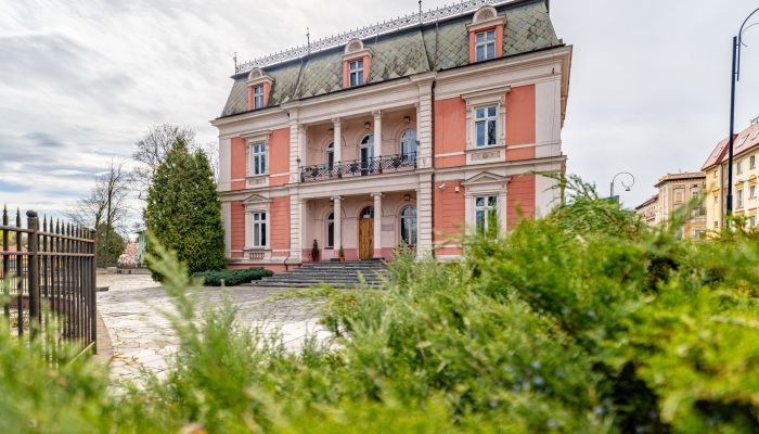 Historische villa Legnica 2