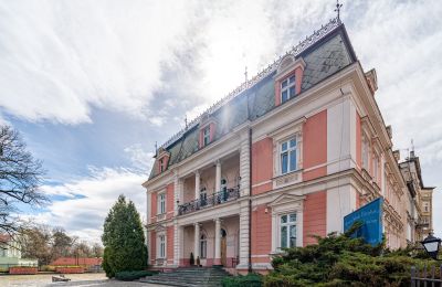 Historische villa te koop Legnica, województwo dolnośląskie, Foto 6/33